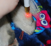 Lasertherapie